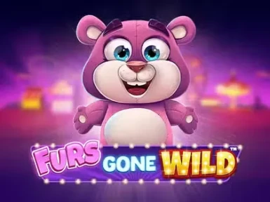 Poko Bet Casino screenshot